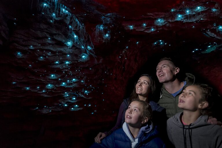 Te Anau Glow Worm Cave Tour | Tasman Holiday Parks Te Anau