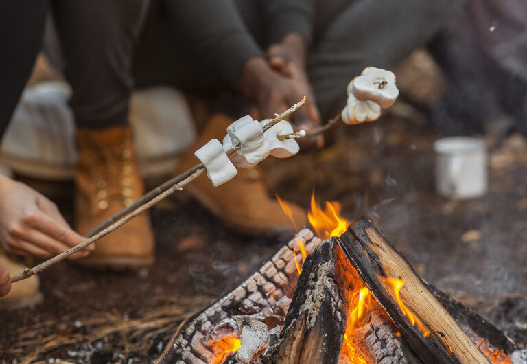 Close up of travellers frying marshmallow in forest | Tasman Holiday Parks