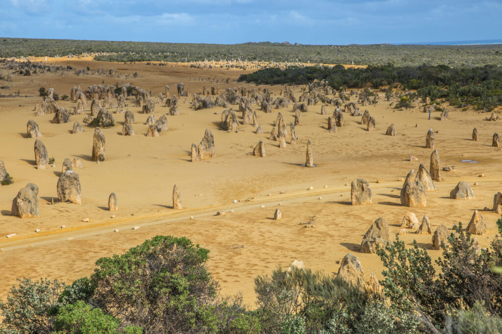 An arid landscape featuring numerous limestone rock formations, known as the Pinnacles, protruding from the sandy desert floor. Sparse vegetation frames the foreground, while dense shrubs and a blue sky with scattered clouds are visible in the background near Ledge Point.