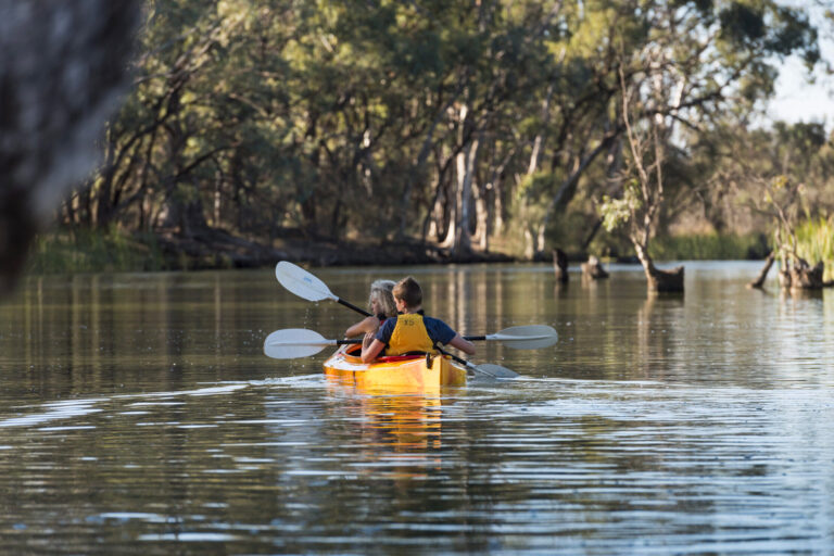 Canoeing | Merool on the Murray | Tasman Holiday Parks