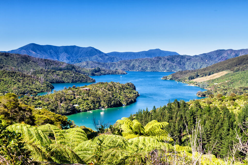 View of bays in Queen Charlotte Sound, Picton, Marlborough region, South Island, New Zealand