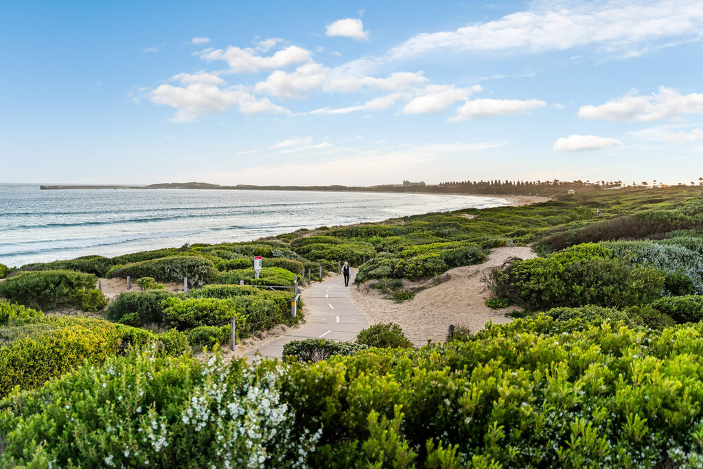 Warrnambool beach and flora landscape