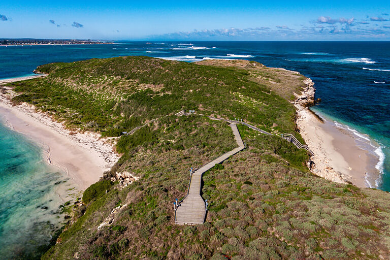 Aerial View of Ledge Point Beach | Tasman Holiday Parks - Ledge Point