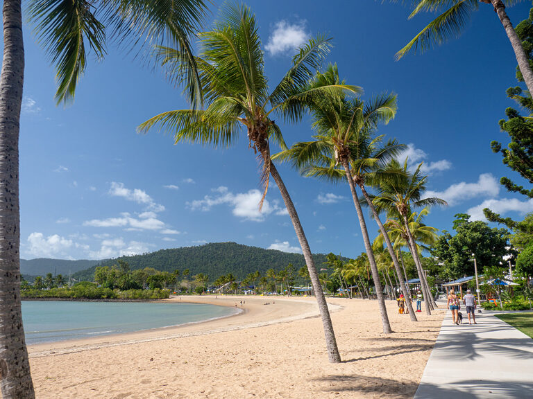 Airlie Beach foreshore with palm trees | Tasman Holiday Parks