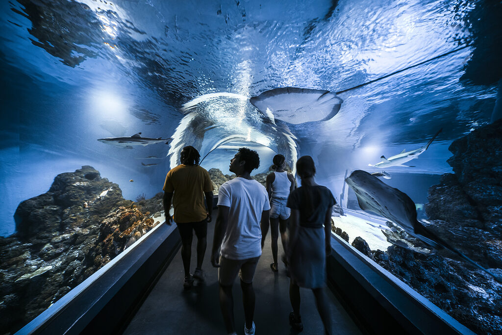 Cairns Aquarium | Tasman Holiday Parks - Cairns Cool Waters