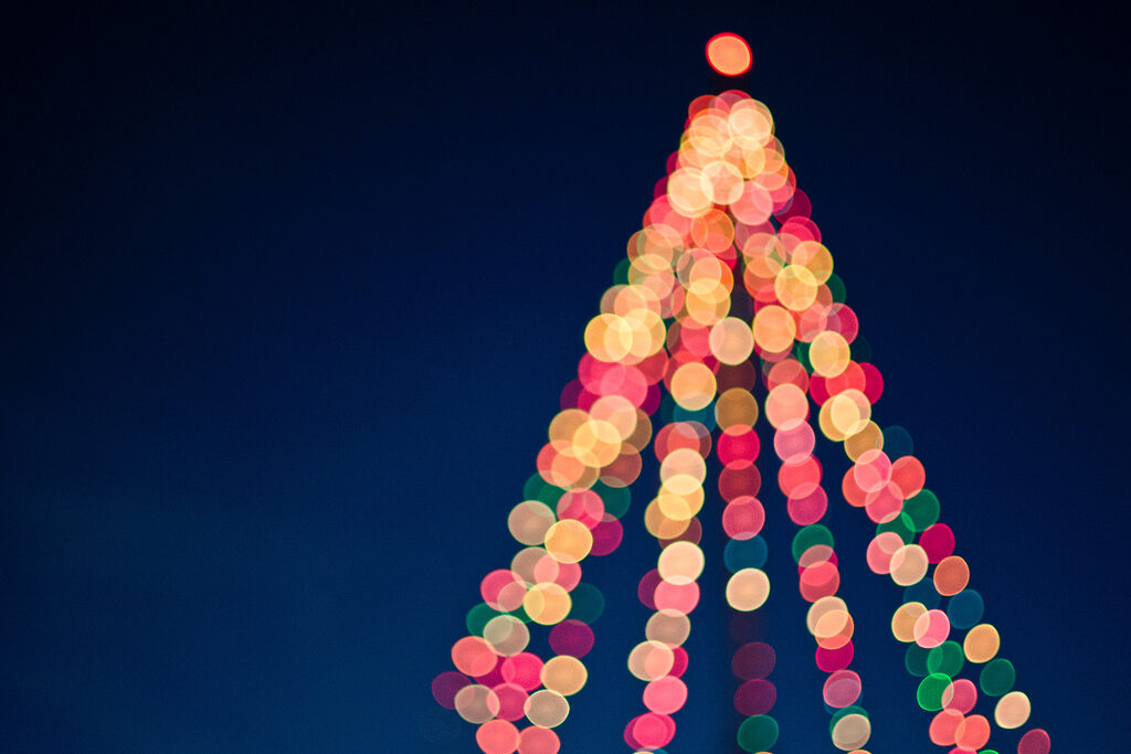 Christmas tree lights | Tasman Holiday Parks