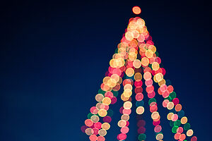 Christmas tree lights | Tasman Holiday Parks