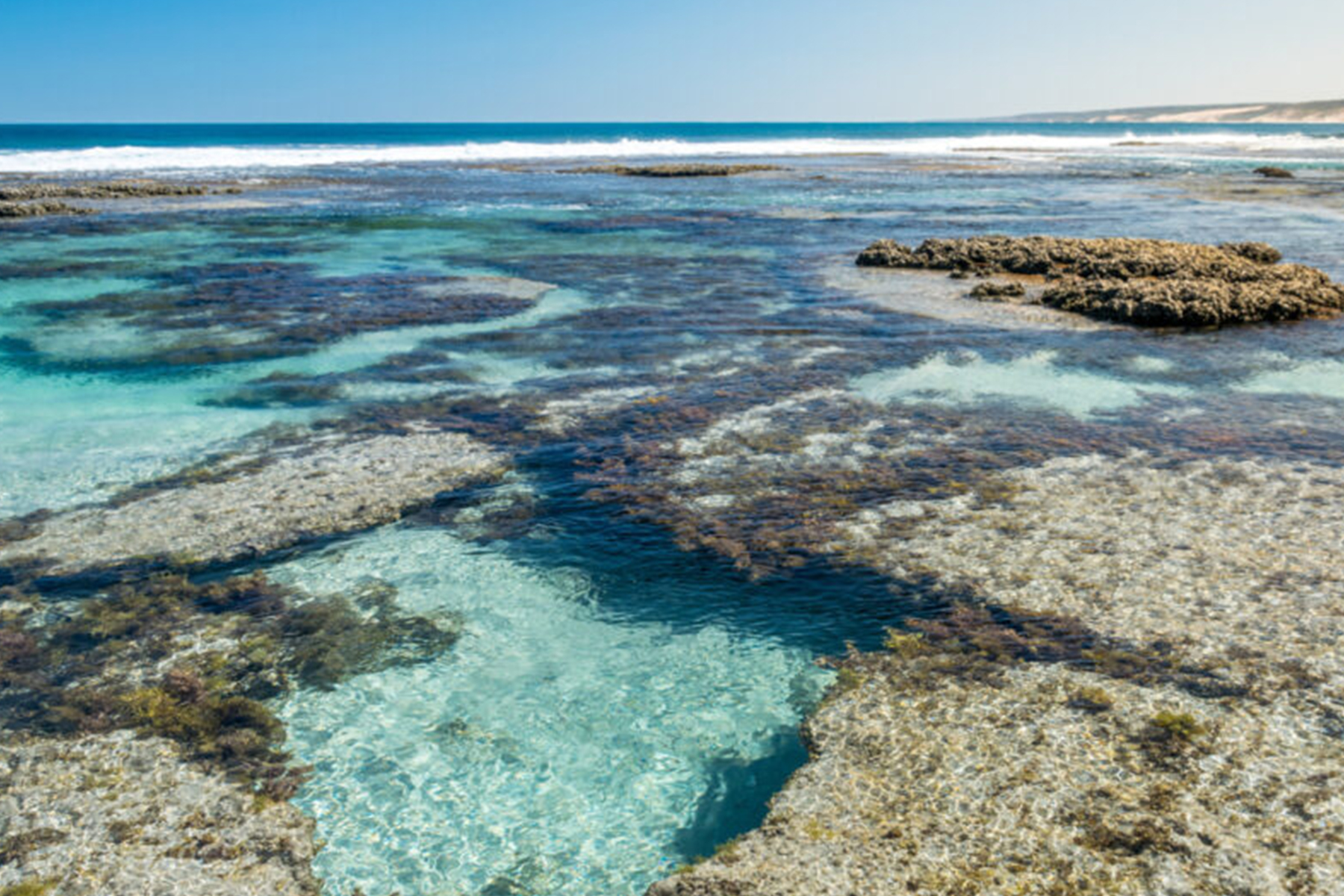 A serene coastal landscape featuring a clear blue ocean with patches of coral reefs and seaweed visible through the water. The horizon and a distant sandy shoreline are visible under a clear, blue sky. The water is calm and shallow near the shore.