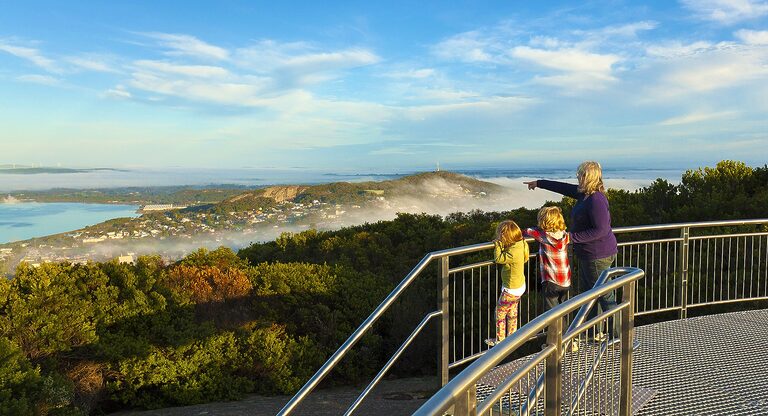 Padre White Lookout, Albany Heritage Park | Tasman Holiday Parks