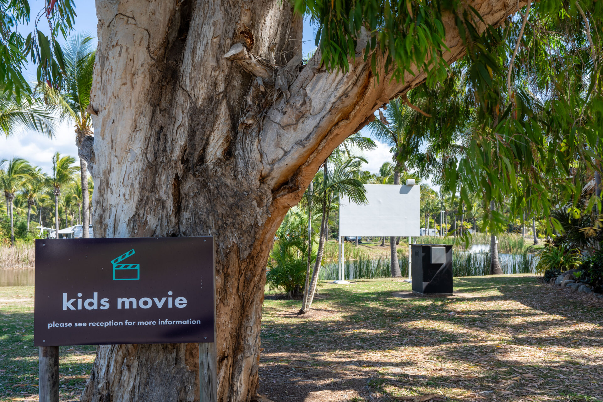 Outdoor kids movie theatre | Tasman Holiday Parks - Rollingstone