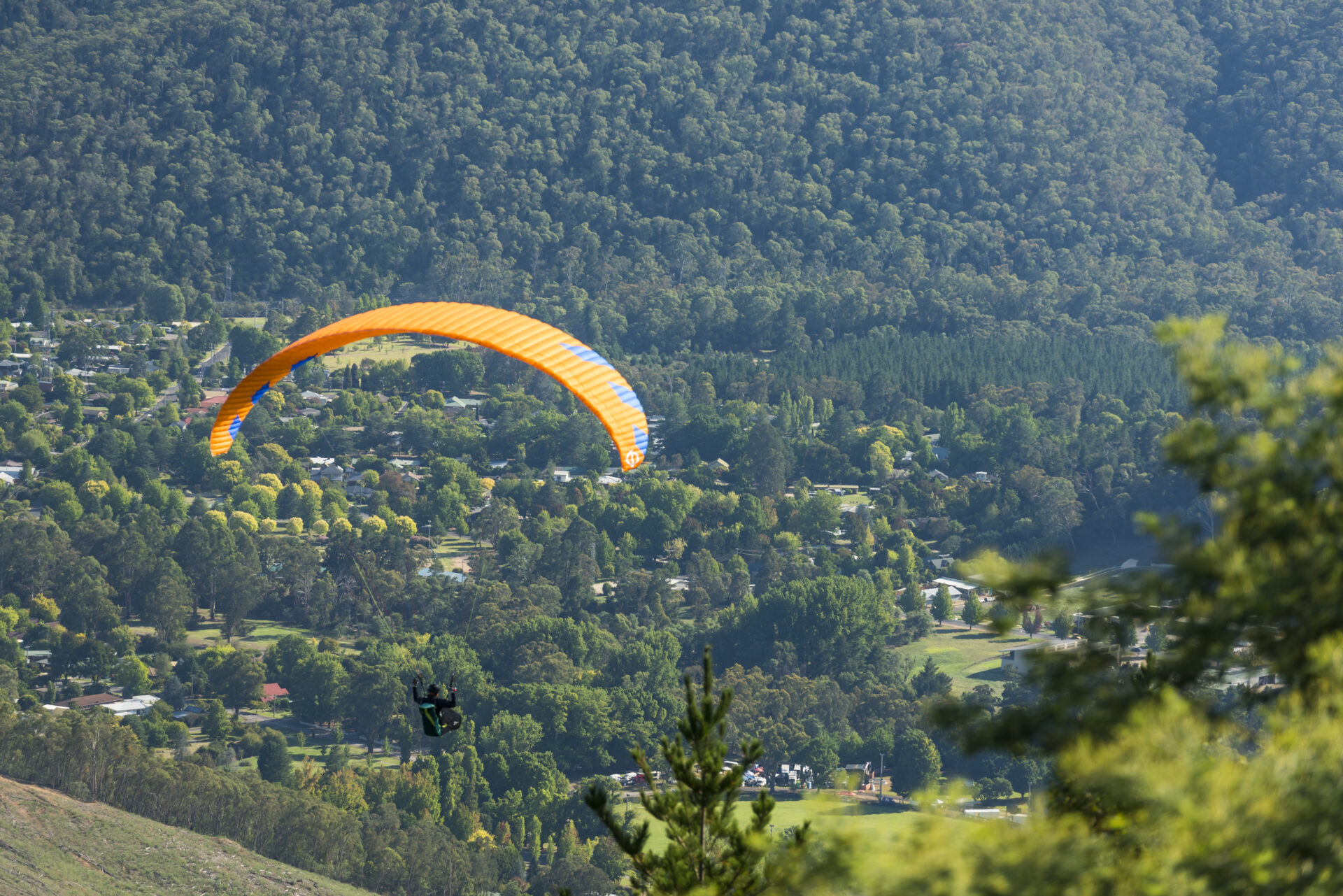 Paragliding over Bright | Tasman Holiday Parks South Bright