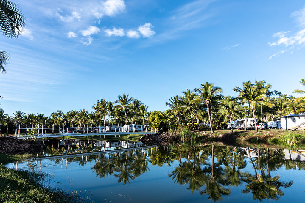 A serene scene featuring a small bridge over a calm lake, surrounded by numerous palm trees. The trees and a few buildings in the background are reflected in the lake, under a clear blue sky with a few scattered clouds.