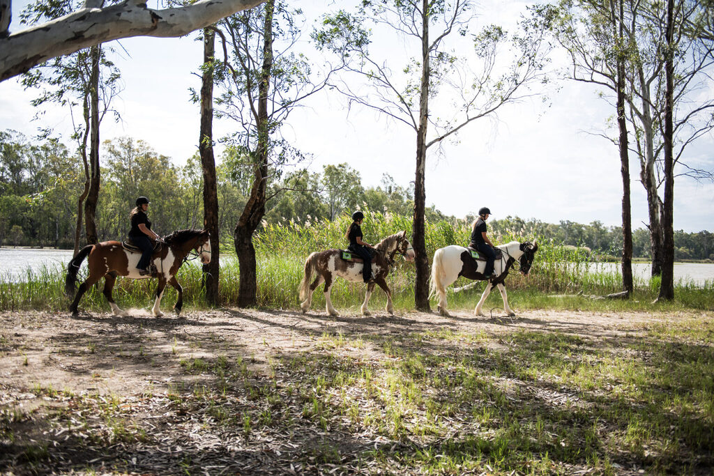 Merool Horse Rides on the Murray | Tasman Holiday Parks