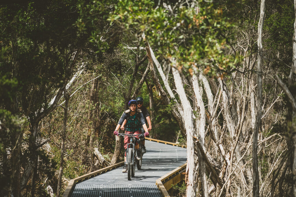 Two mountain bikers ride on a wooden trail through a dense forest. They are wearing helmets and protective gear, following one another along the winding path, surrounded by tall trees and lush greenery. The mood is adventurous and serene.