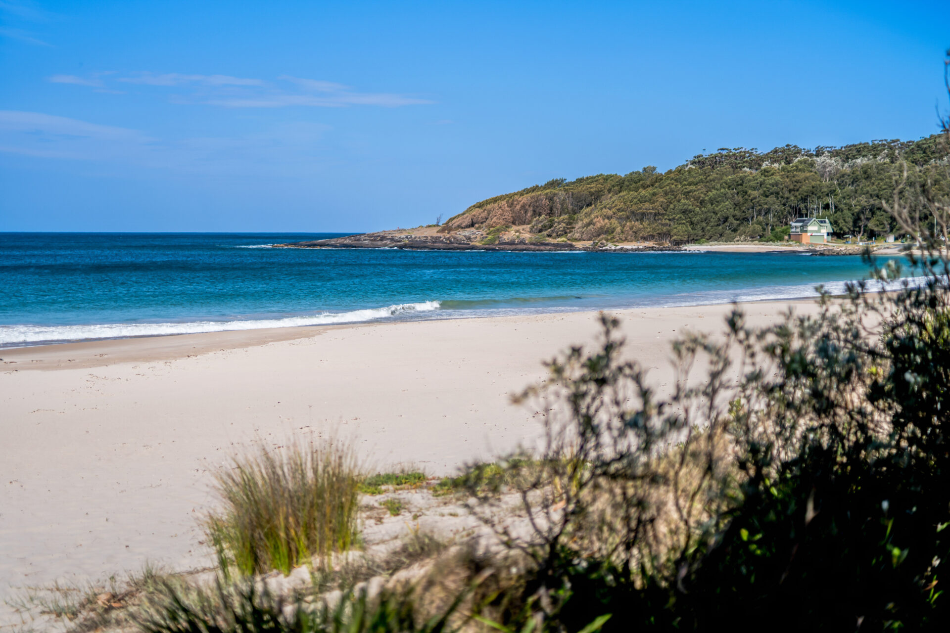 Kioloa Beach on a sunny day | Tasman Holiday Parks Kioloa
