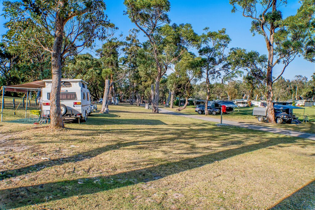 Unpowered camping caravan site with trees | Tasman Holiday Parks Kioloa Beach