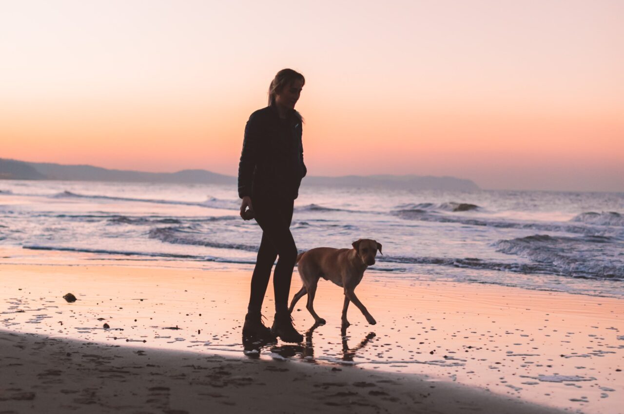 Dog and owner walking on Waihi Beach