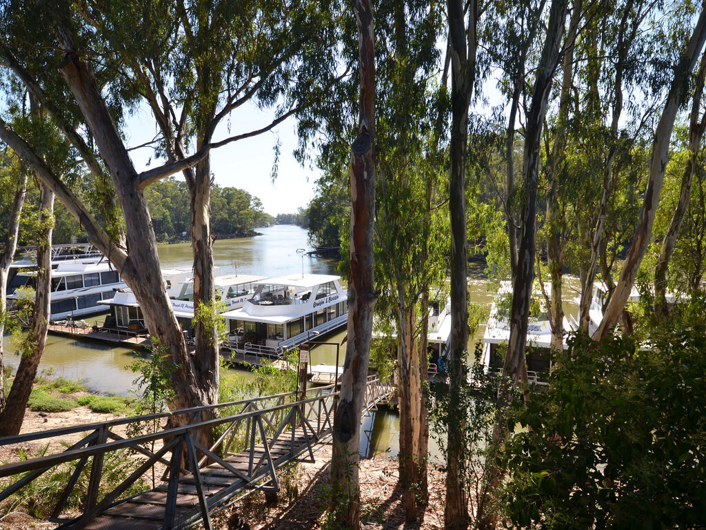 Riverview Cabins Merool on the Murray | Tasman Holiday Parks