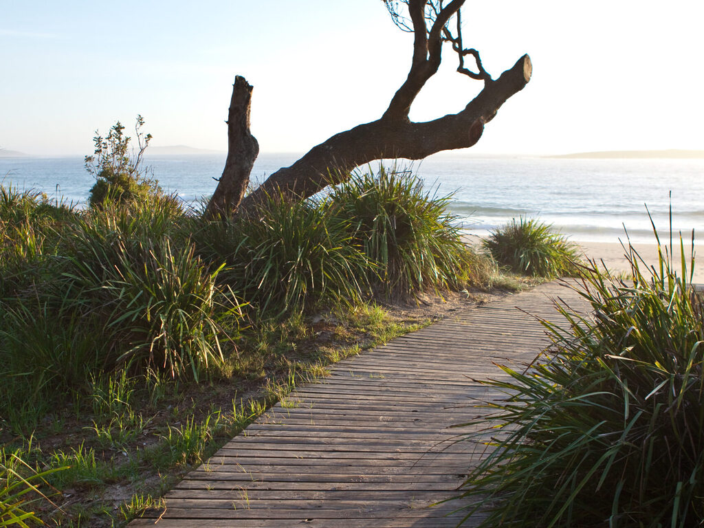 Kioloa walkway to the beach | Tasman Holiday Parks Kioloa Beach