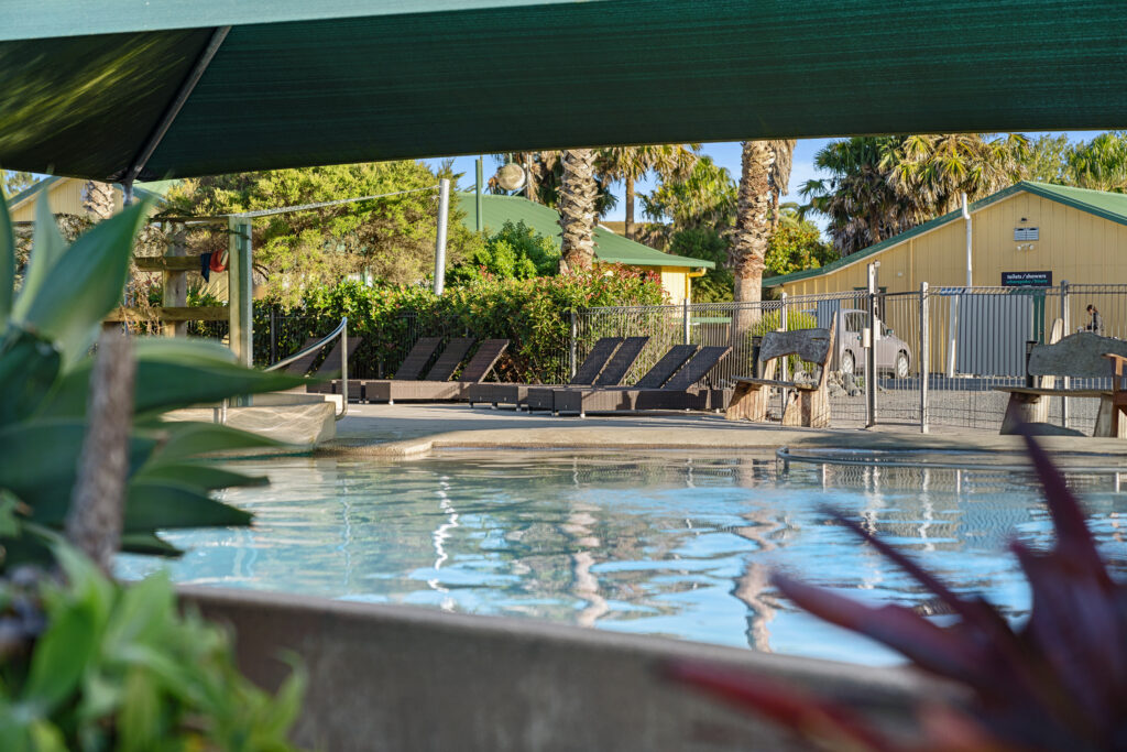 A serene outdoor pool area with several lounge chairs lined up under a large canopy. The pool is surrounded by greenery and palm trees. In the background, there are some small yellow buildings and a gated fence. The sun casts a warm light across the scene.