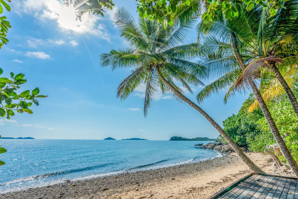 A serene tropical beach scene with clear blue skies, calm turquoise waters, and lush green palm trees. The sandy shore is gently lapped by small waves, and leafy branches frame the image from above, conveying a peaceful and inviting atmosphere.