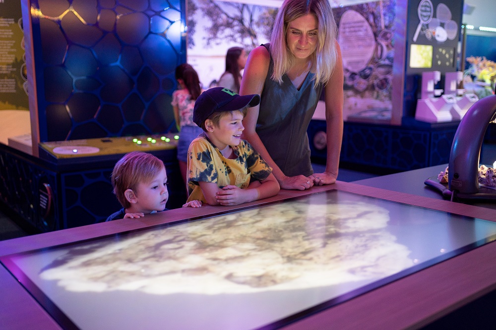 Marine Discovery Centre | Tasman Holiday Parks | North Star | Hastings Point NSW