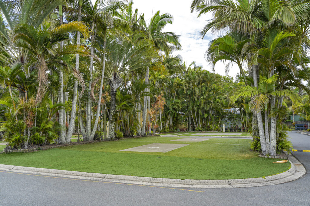 A lush tropical scene with tall palm trees surrounding a grassy area next to a paved road. The grass appears well-maintained, and the palms are densely packed, creating a green, leafy canopy. The sky above is partly cloudy.