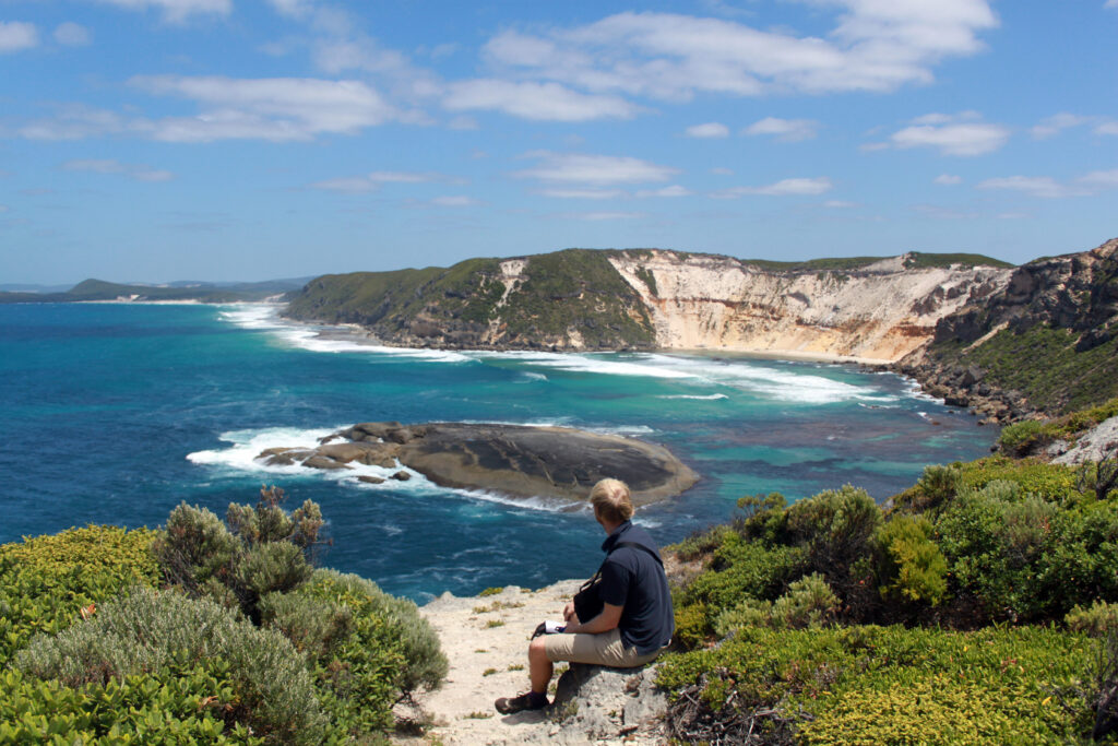 Albany lookout