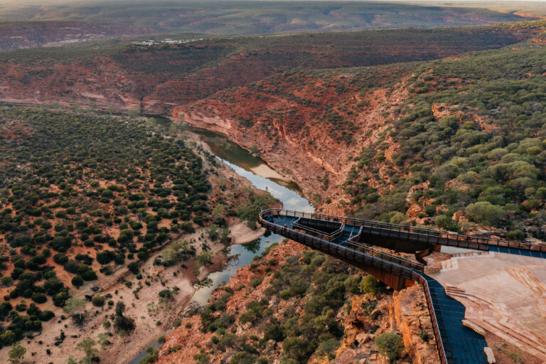 An aerial view of a river meandering through the rugged, red-rock canyon landscape of Kalbarri with lush, green vegetation. A modern, elevated walkway extends over the canyon, offering visitors a scenic outlook over the dramatic red cliffs and blue ocean beyond.