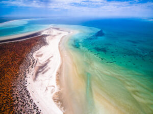 Aerial view of Shark Bay's coastal landscape with clear turquoise water and a white sandy beach. The shoreline curves into the distance, separating the aquamarine sea from the reddish-brown land. Patches of shallow water create a gradient of blues and greens near Denham.