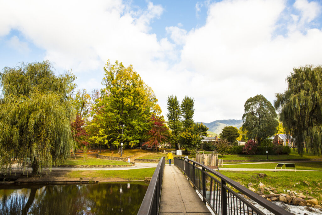 Centenary Park, Bright in Autumn