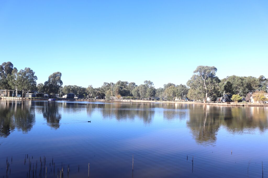 A serene lakeside view on a clear day. The sky is sunny and blue, reflecting on the calm water. Trees and houses line the far shore, and a single duck swims in the lake. Tall reeds are visible in the foreground, adding to the peaceful scenery.