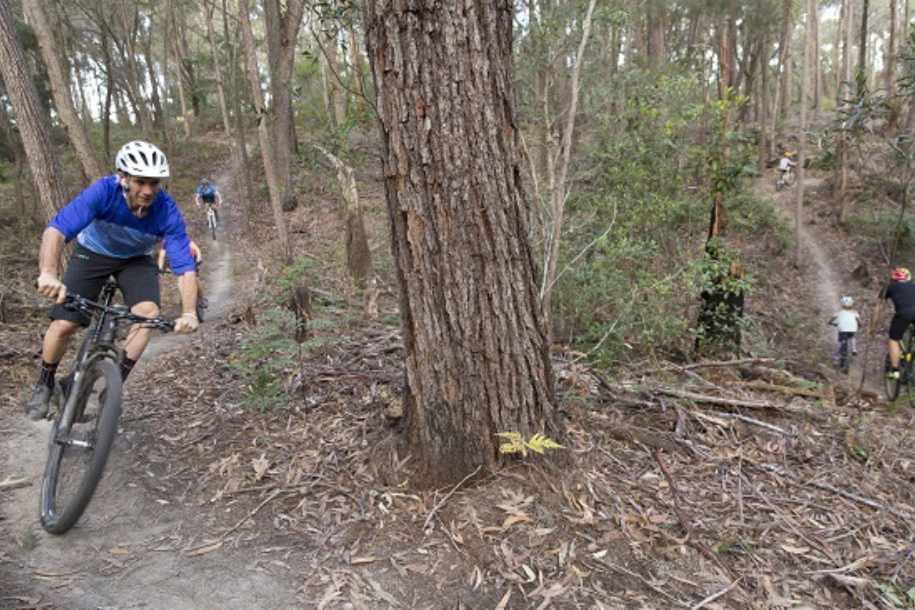 Cyclists ride along a winding dirt trail through a dense forest. The lead cyclist in a blue shirt and white helmet is navigating a sharp turn, followed by three other riders in varying distances behind. The ground is covered in leaves and the trees are tall and thick. Things to do in Bright.