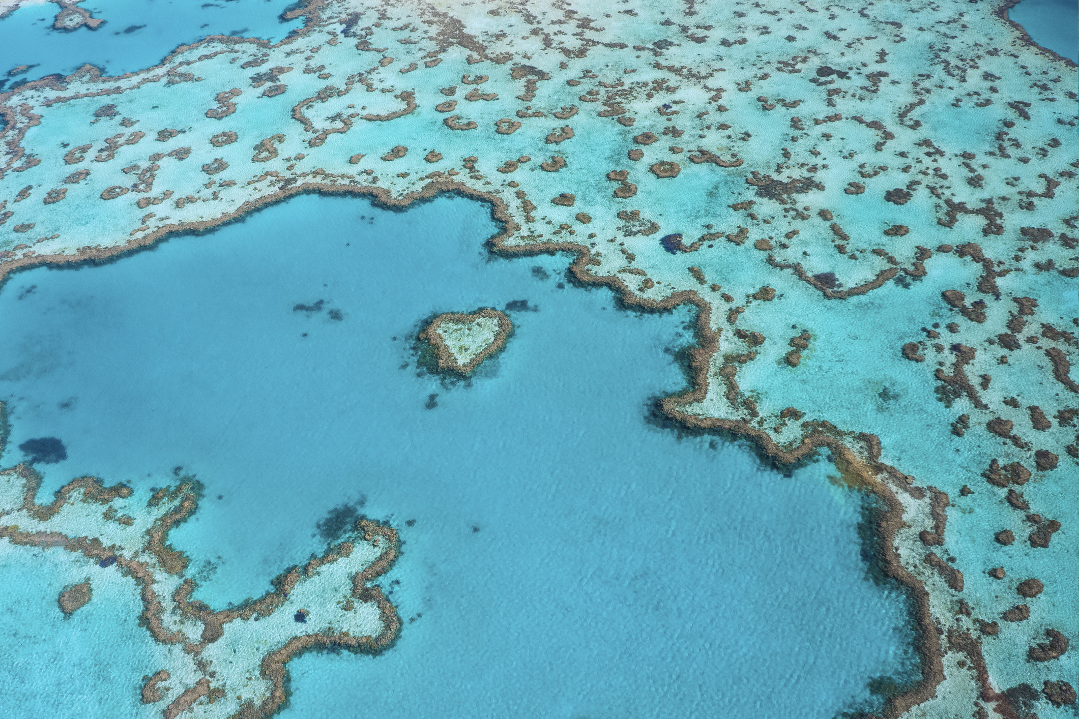 Aerial view of a coral reef in the ocean with vibrant turquoise water. The reef forms intricate patterns, including a distinct heart-shaped formation in the center. The contrasting shades of blue and the varying coral shapes create a visually striking scene.