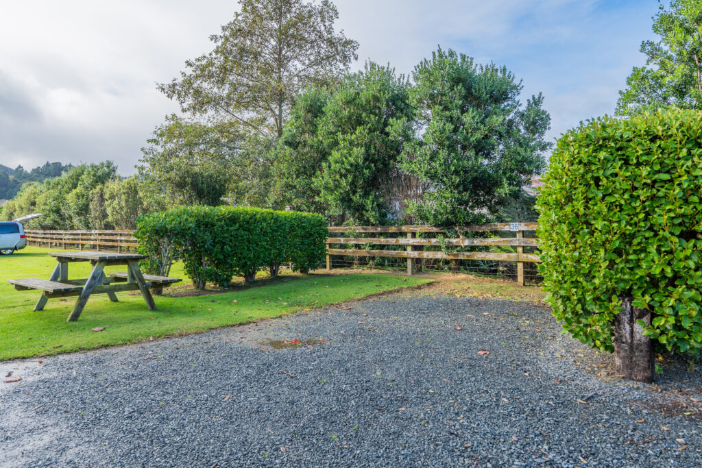 A serene outdoor area at Coromandel Holiday Park features a gravel path leading to a grassy picnic spot with a wooden table and benches, bordered by well-maintained shrubs and a wooden fence. The background includes various trees under a partly cloudy sky.