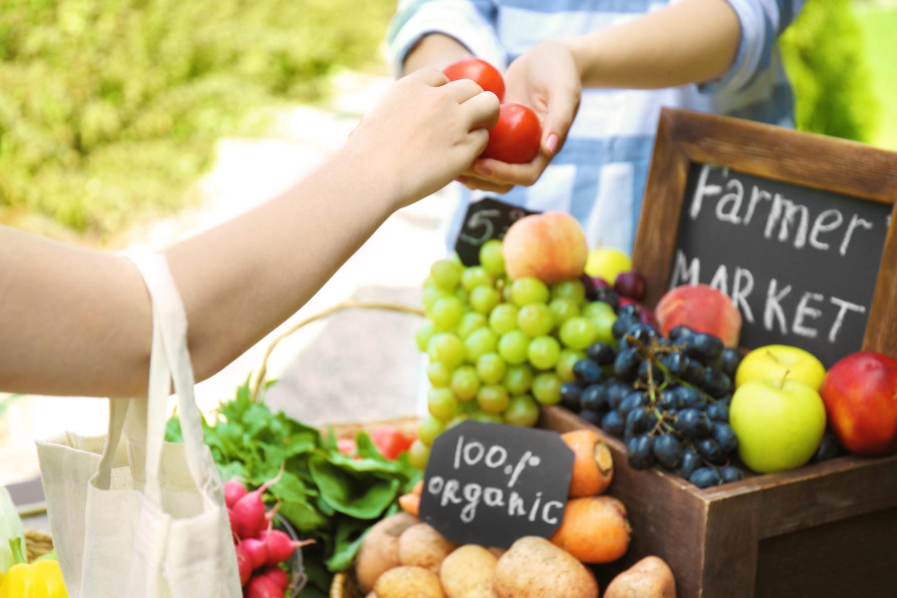 A person reaches out to take two tomatoes from a vendor at a farmer's market. The stand is filled with fresh produce, including grapes, apples, radishes, and potatoes. A chalkboard sign reads "Farmer Market" and "100% organic.