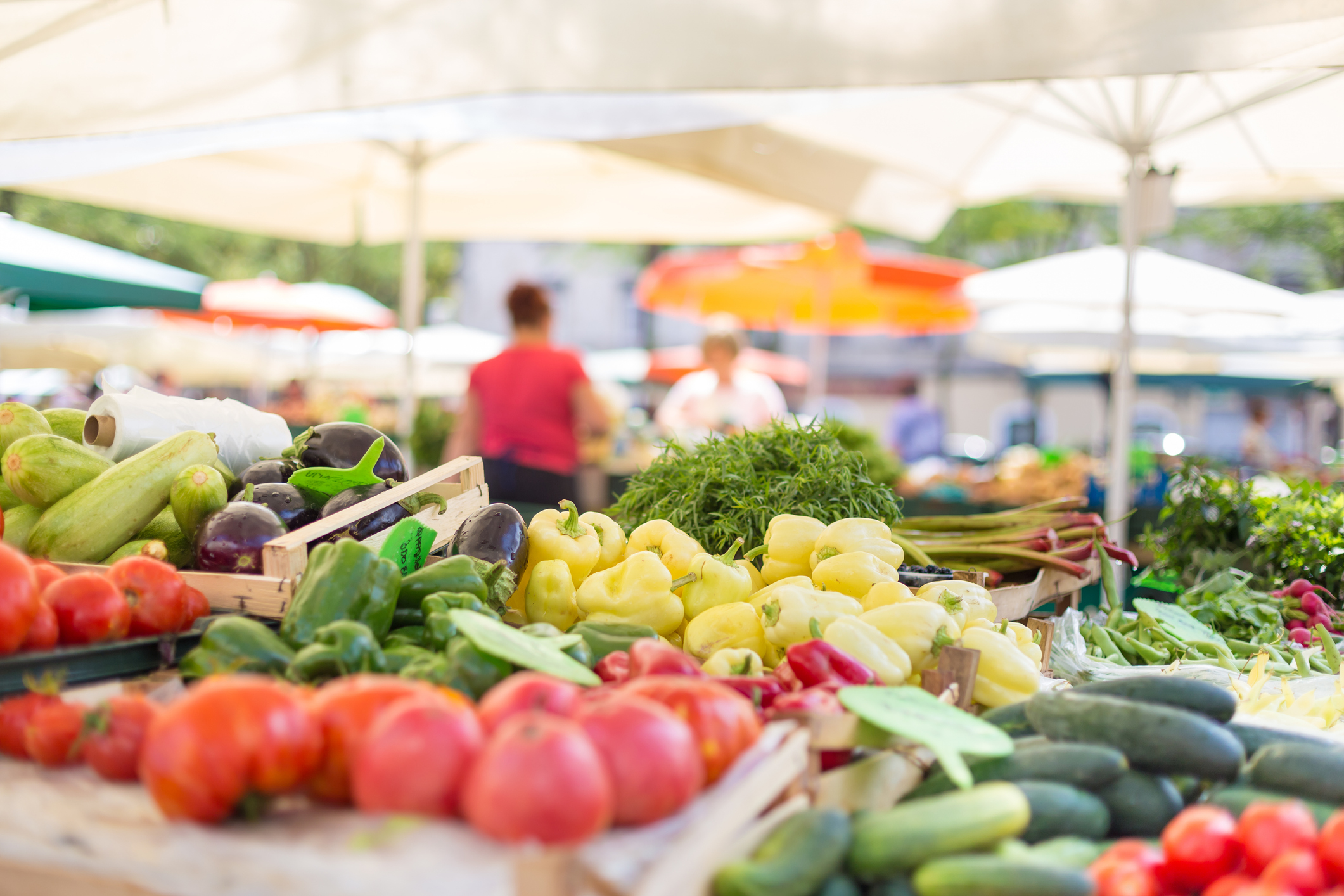 A colorful display of fresh vegetables, including tomatoes, peppers, cucumbers, zucchinis, and leafy greens, at an outdoor market under large white umbrellas. In the background, blurred figures of shoppers and vendors are visible.