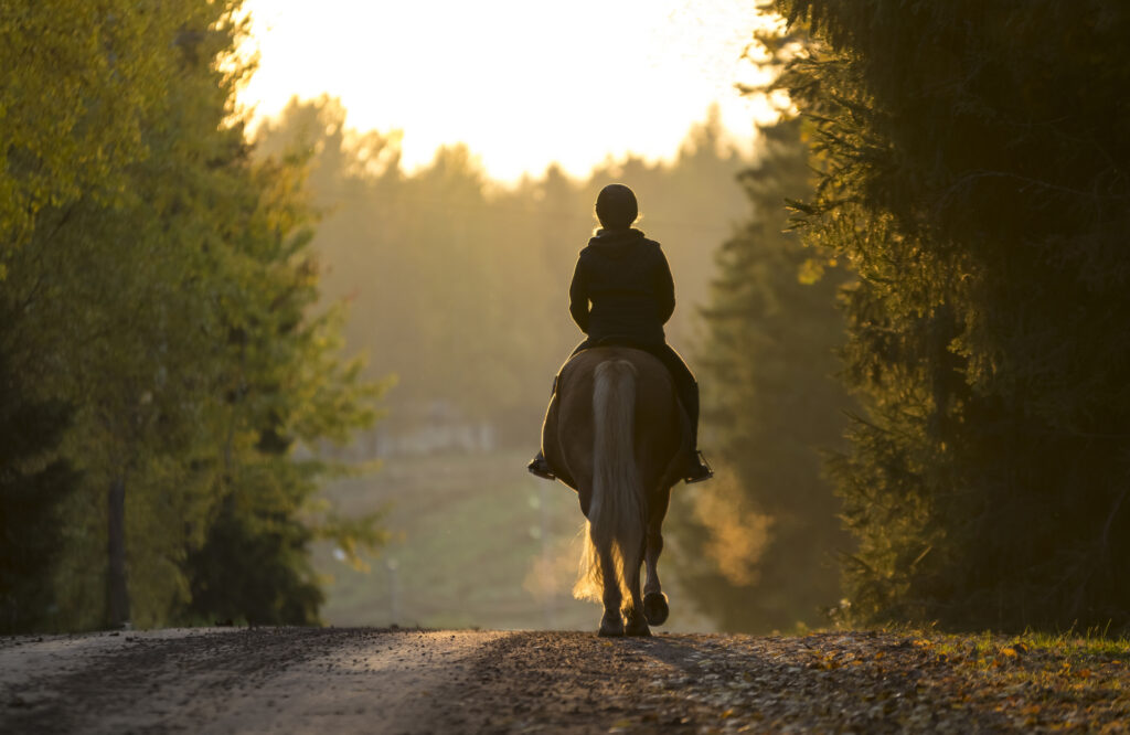 Horse riding in Serpentine