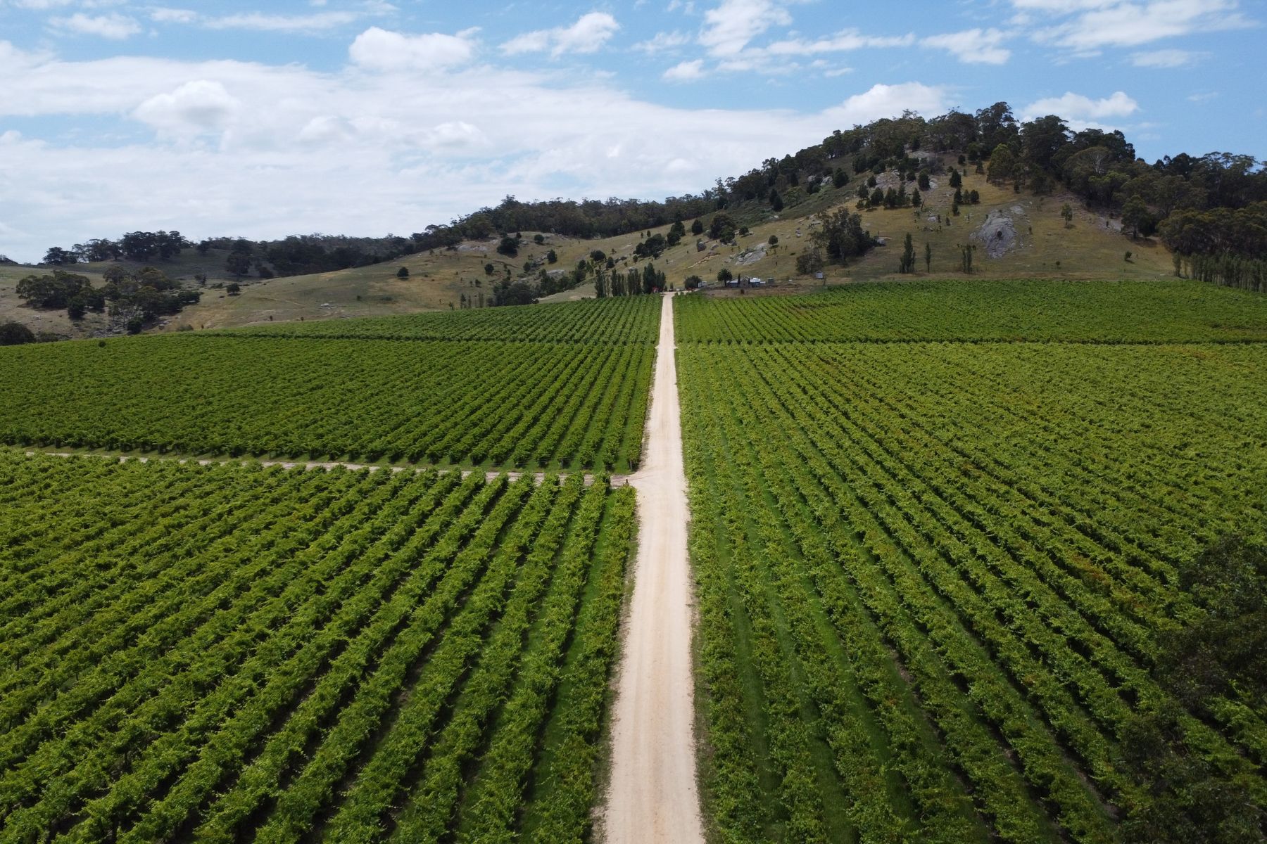 Bendigo Winery | Tasman Holiday Parks Bendigo