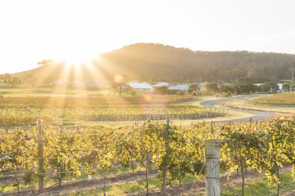 Wineries NSW South Coast | Tasman Holiday Parks