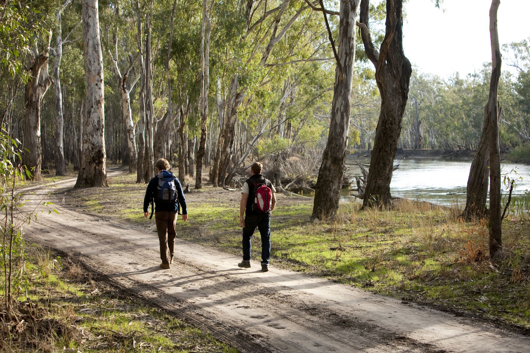 Barmah National Park Road Trip | Tasman Holiday Parks