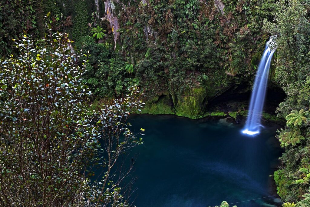 Omanawa Falls - Haydn Curtis | Tasman Holiday Parks - Family Friendly Walks