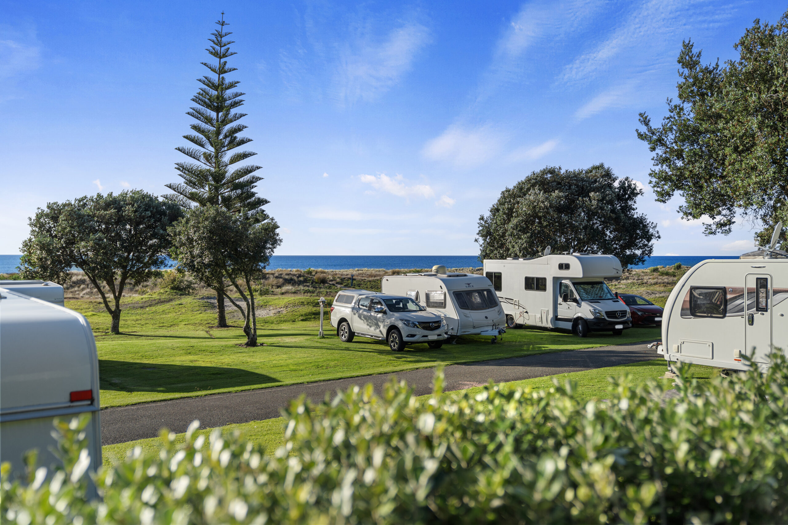 A scenic view of a campground by the sea featuring several RVs and caravans parked on green grass. Trees including a tall pine tree are scattered around the area, and the blue ocean is visible in the background under a clear sky with a few clouds.