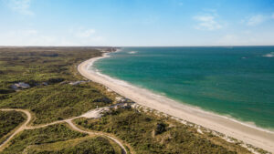 Aerial view of a pristine coastline featuring turquoise waters gently lapping against a long, sandy beach. Lush greenery stretches along the shore with winding pathways cutting through the dense vegetation under a clear blue sky dotted with a few clouds. Ideal for exploring by 4WD, it's also near Ledge Point, perfect for surfing adventures.