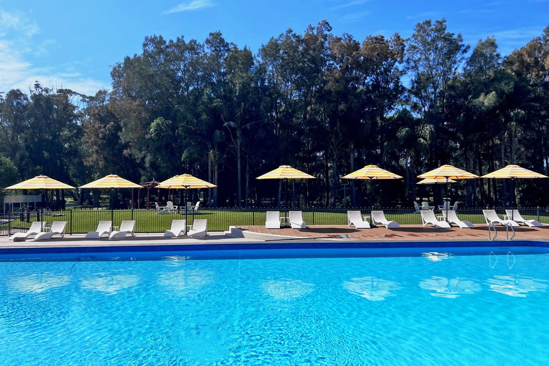 A large outdoor swimming pool with clear blue water is lined with white lounge chairs and yellow-striped umbrellas, reminiscent of the serene ambiance of Kioloa Beach. The pool area is surrounded by lush green grass and tall trees under a sunny, blue sky.