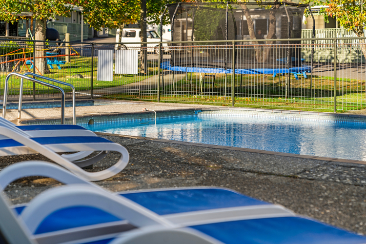 The image shows a clear, blue swimming pool surrounded by white and blue lounge chairs on a concrete deck. In the background, there's a fenced area with a trampoline and grassy yard, along with trees and sections of buildings. The scene appears sunny and inviting—perfect for those exploring things to do in Papamoa.