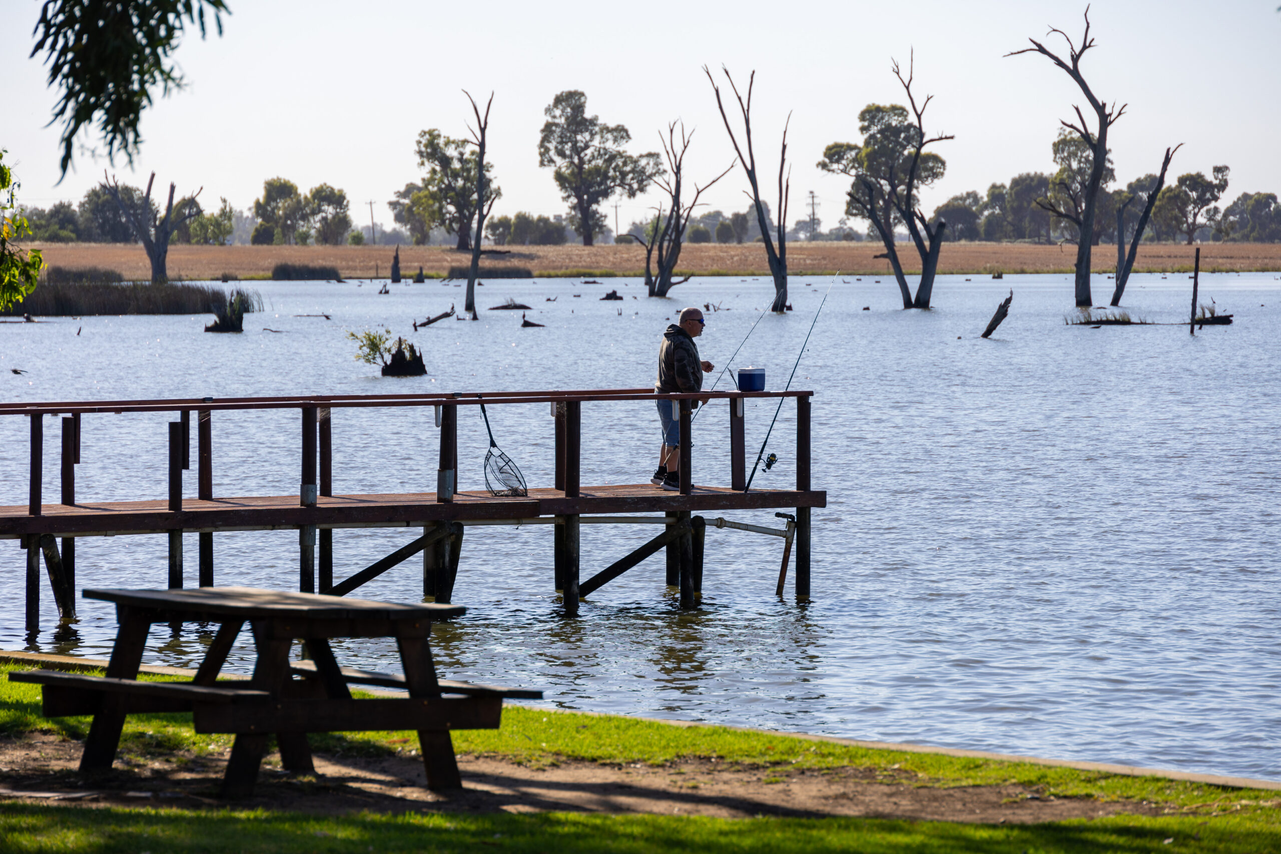 A person fishes from a wooden pier on a calm lake surrounded by trees, some with bare branches. In the foreground, there is a picnic table on a grassy area. The scene is serene and sunny, perfect for family-friendly hikes with reflections of the trees in the water.