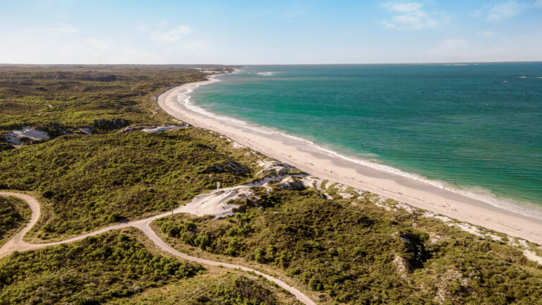 Aerial view of Ledge Point, a long, sandy beach with turquoise waters along the coast. The shoreline curves gently, bordered by dense green vegetation and hilly terrain. Meandering dirt paths are visible amidst the greenery, extending towards this surfing paradise. The sky is clear and blue.