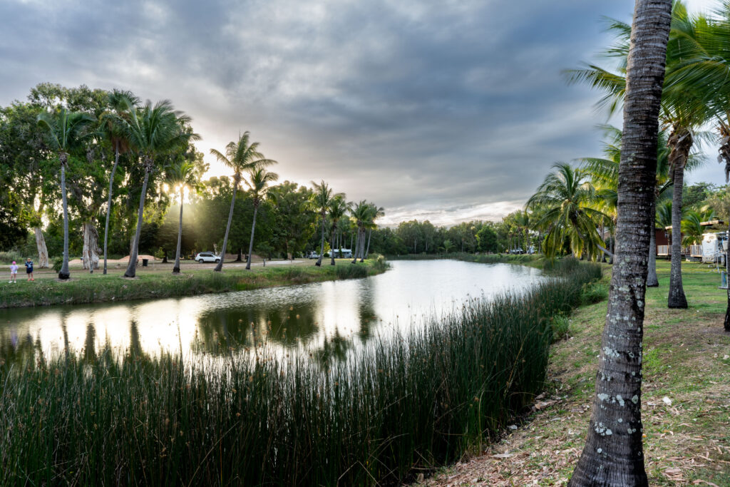 A serene scene of a pond with tall grasses around its edges, surrounded by palm trees and other lush greenery. The sky is cloudy with hints of sunlight peeking through, reminiscent of a Rollingstone cover. A few people and parked cars are visible in the distance along a path.