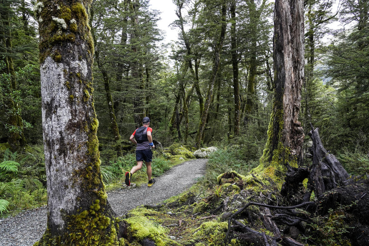 A person in athletic gear is running along a gravel trail through a lush, green forest. Tall trees with moss cover the trunks, and dense foliage lines the path. The scene is tranquil and filled with natural beauty.